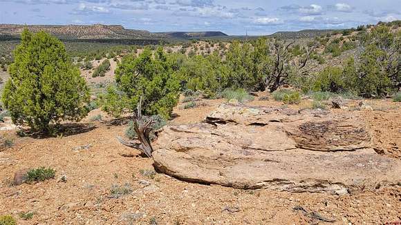 640.6 Acres of Recreational Land & Farm for Sale in Cortez, Colorado