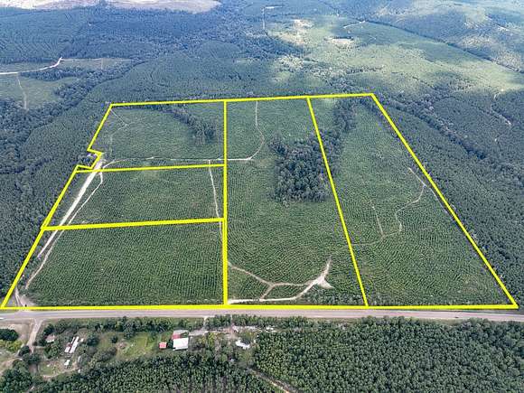 27 Acres of Recreational Land for Sale in Browndell, Texas