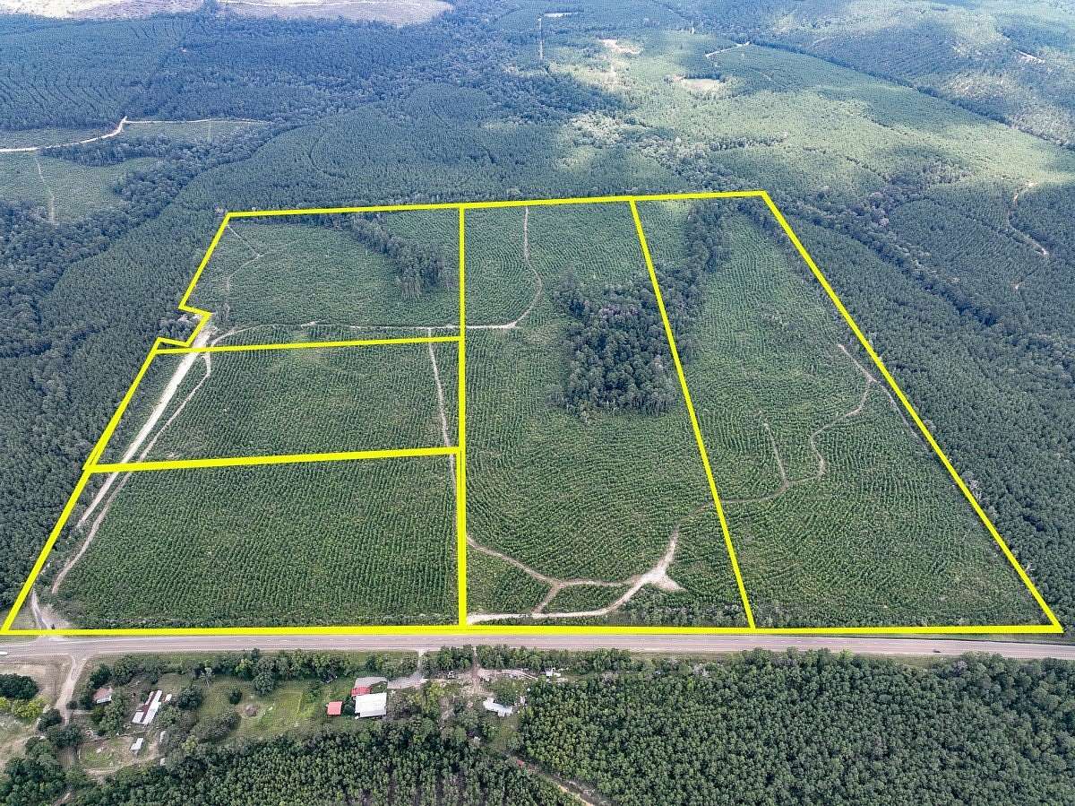 42 Acres of Recreational Land for Sale in Browndell, Texas