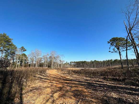 7.4 Acres of Residential Land for Sale in Carthage, Mississippi