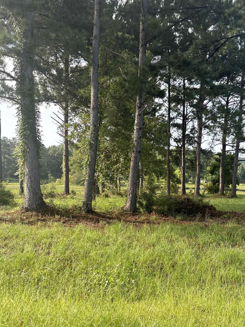 0.34 Acres of Land for Sale in Andalusia, Alabama