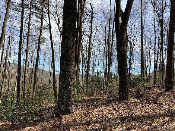 1.2 Acres of Land for Sale in Cashiers, North Carolina