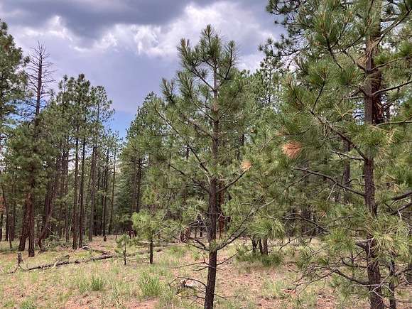 23 Acres of Recreational Land for Sale in Pecos, New Mexico