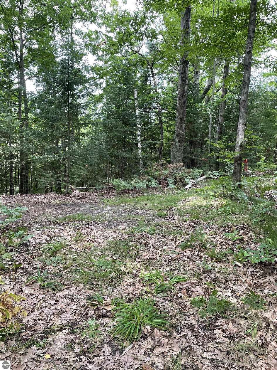 0.31 Acres of Land for Sale in Hale, Michigan