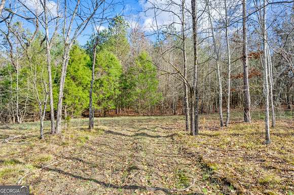 64.05 Acres of Recreational Land for Sale in Carlton, Georgia