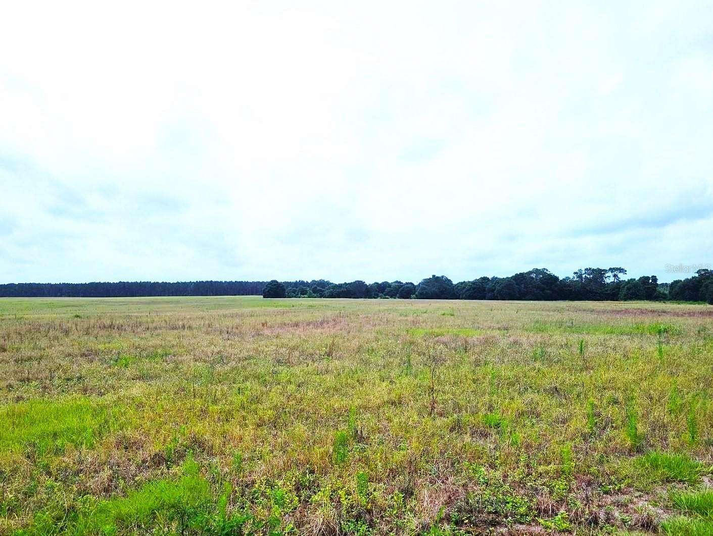 9.7 Acres of Residential Land for Sale in Clermont, Florida