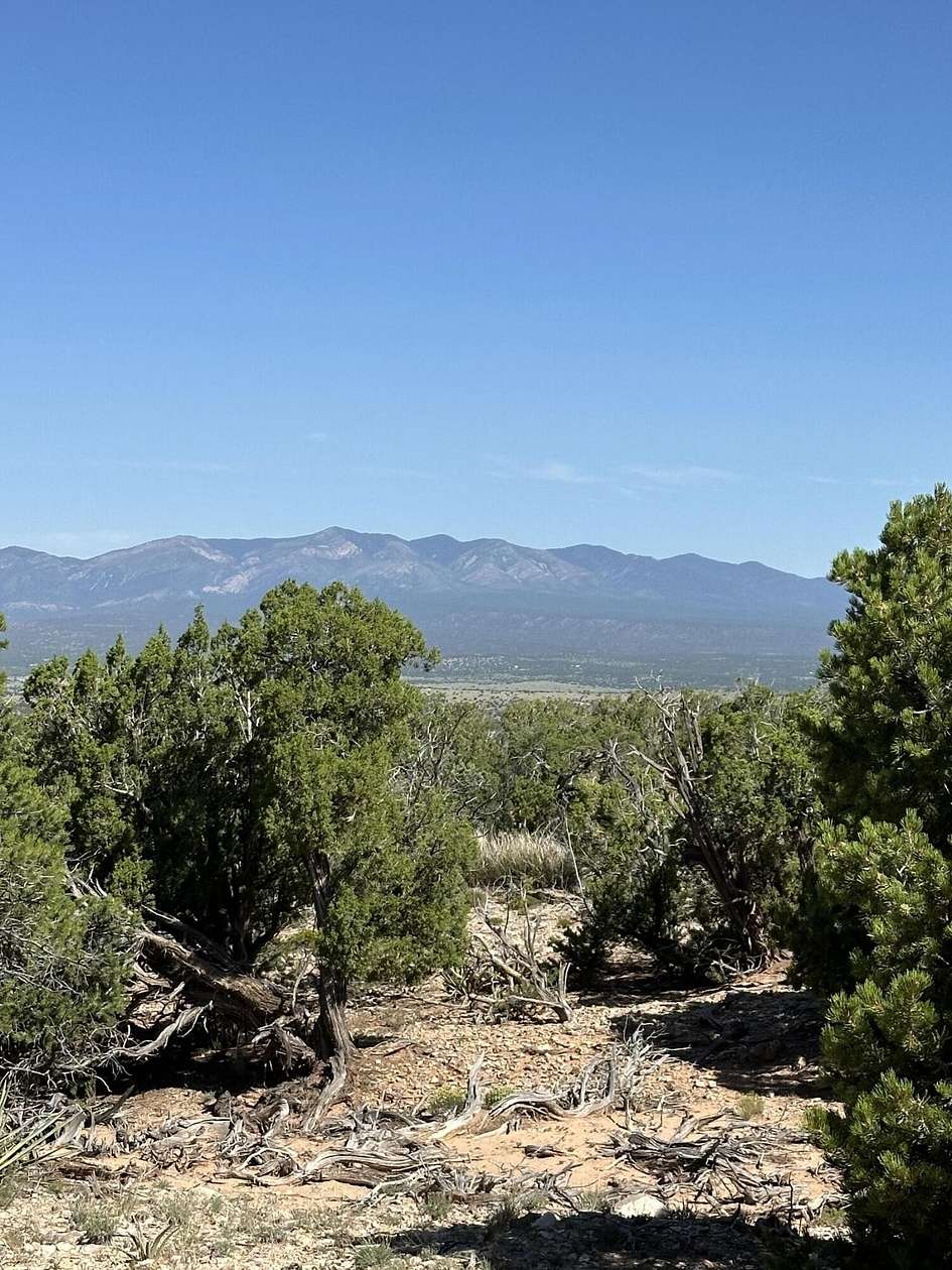 20.74 Acres of Recreational Land for Sale in Mountainair, New Mexico