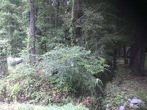 0.54 Acres of Residential Land for Sale in Summerville, South Carolina