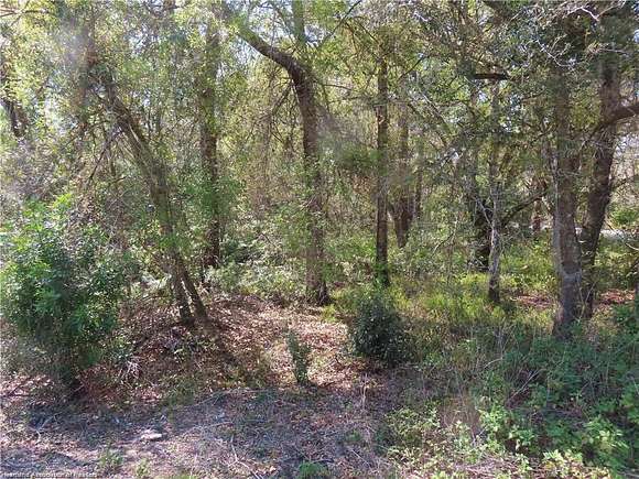 0.3 Acres of Residential Land for Sale in Sebring, Florida