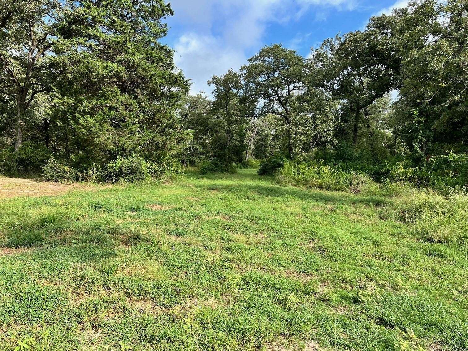 10.023 Acres of Land for Sale in Milano, Texas