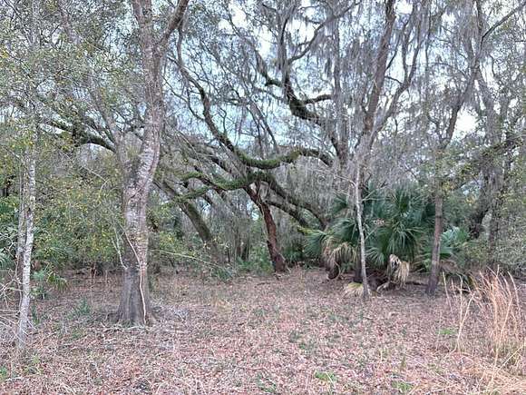 1 Acre of Residential Land for Sale in Chiefland, Florida