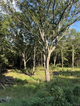 0.5 Acres of Residential Land for Sale in Lindale, Texas