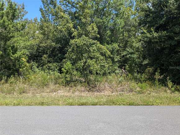 0.33 Acres of Residential Land for Sale in Ocala, Florida