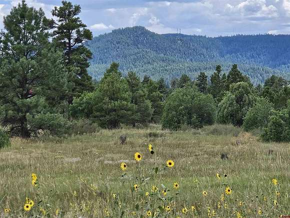 0.25 Acres of Residential Land for Sale in Pagosa Springs, Colorado