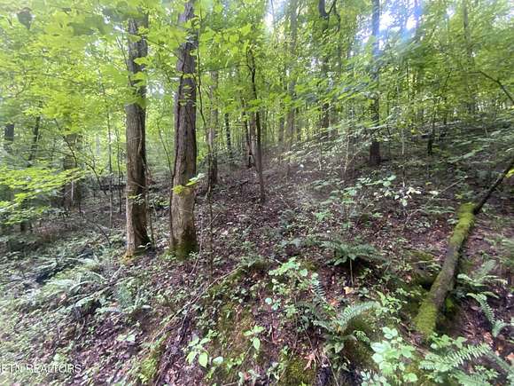 0.34 Acres of Residential Land for Sale in Jacksboro, Tennessee