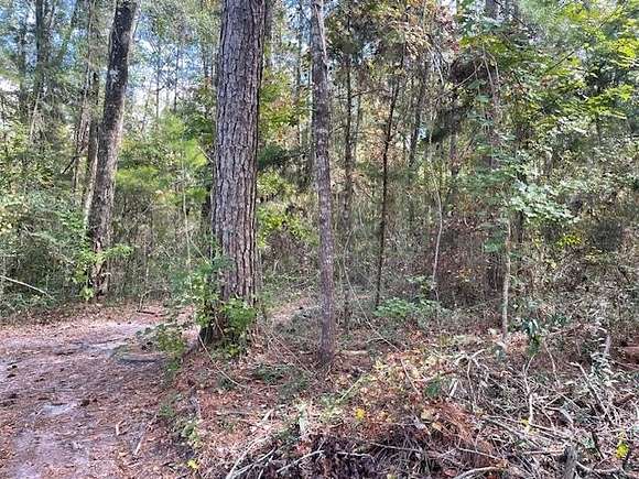 6.82 Acres of Land for Sale in Crawfordville, Florida