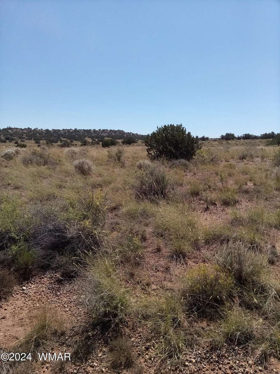 22.11 Acres of Agricultural Land for Sale in Snowflake, Arizona