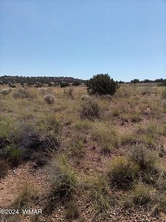 22.11 Acres of Agricultural Land for Sale in Snowflake, Arizona