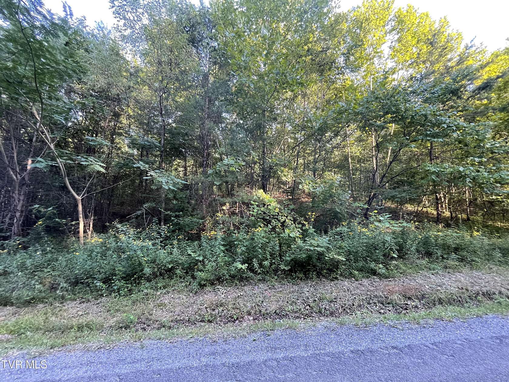 5 Acres of Land for Sale in Bulls Gap, Tennessee