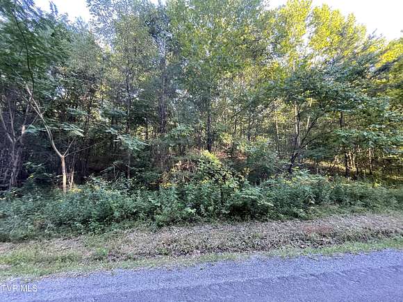 5 Acres of Land for Sale in Bulls Gap, Tennessee