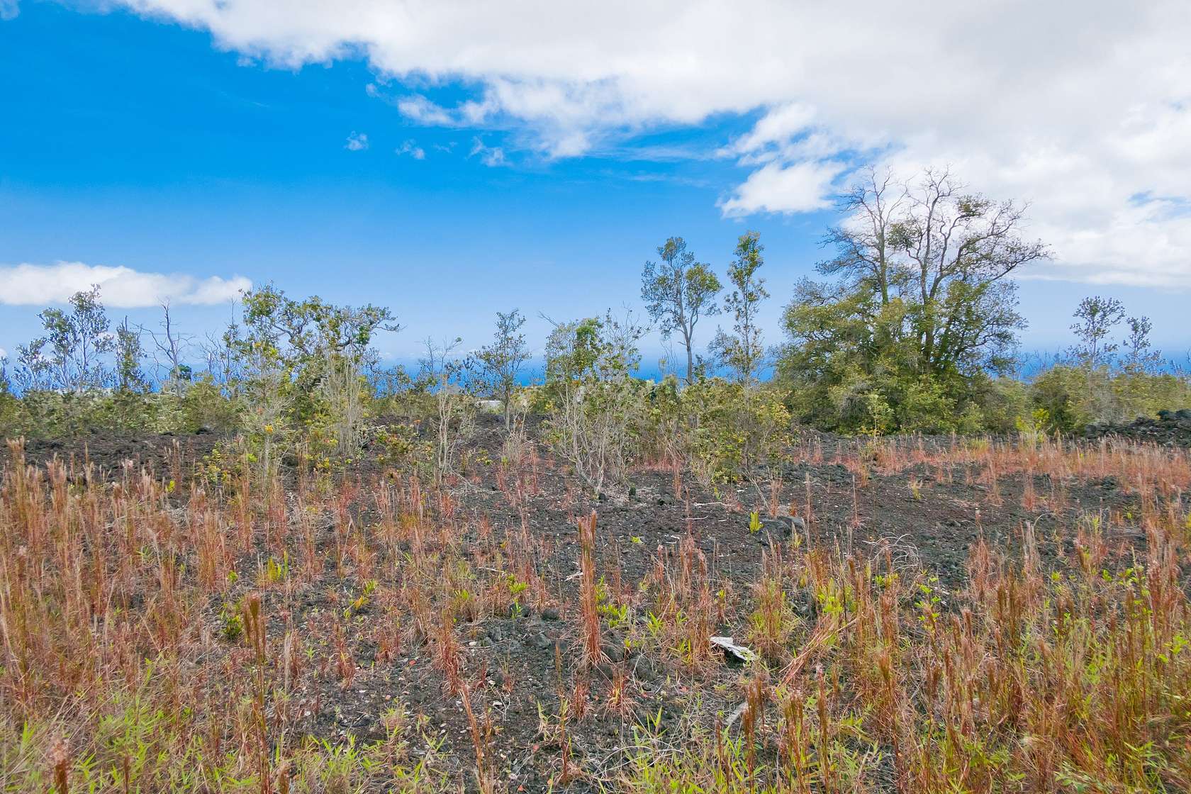 1.001 Acres of Residential Land for Sale in Hawaiian Ocean View, Hawaii