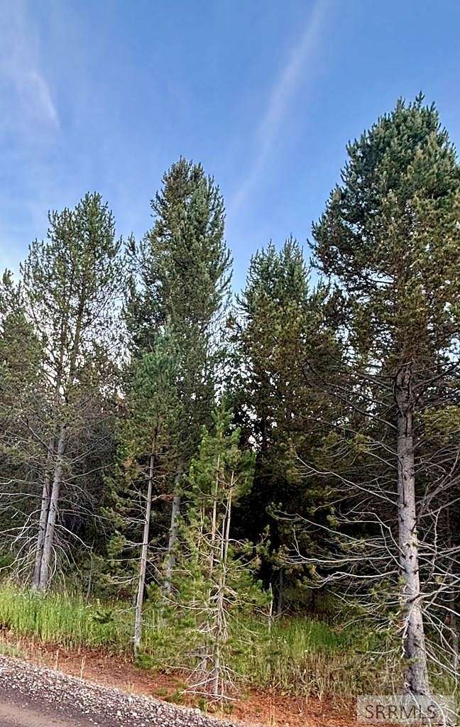 0.87 Acres of Residential Land for Sale in Island Park, Idaho