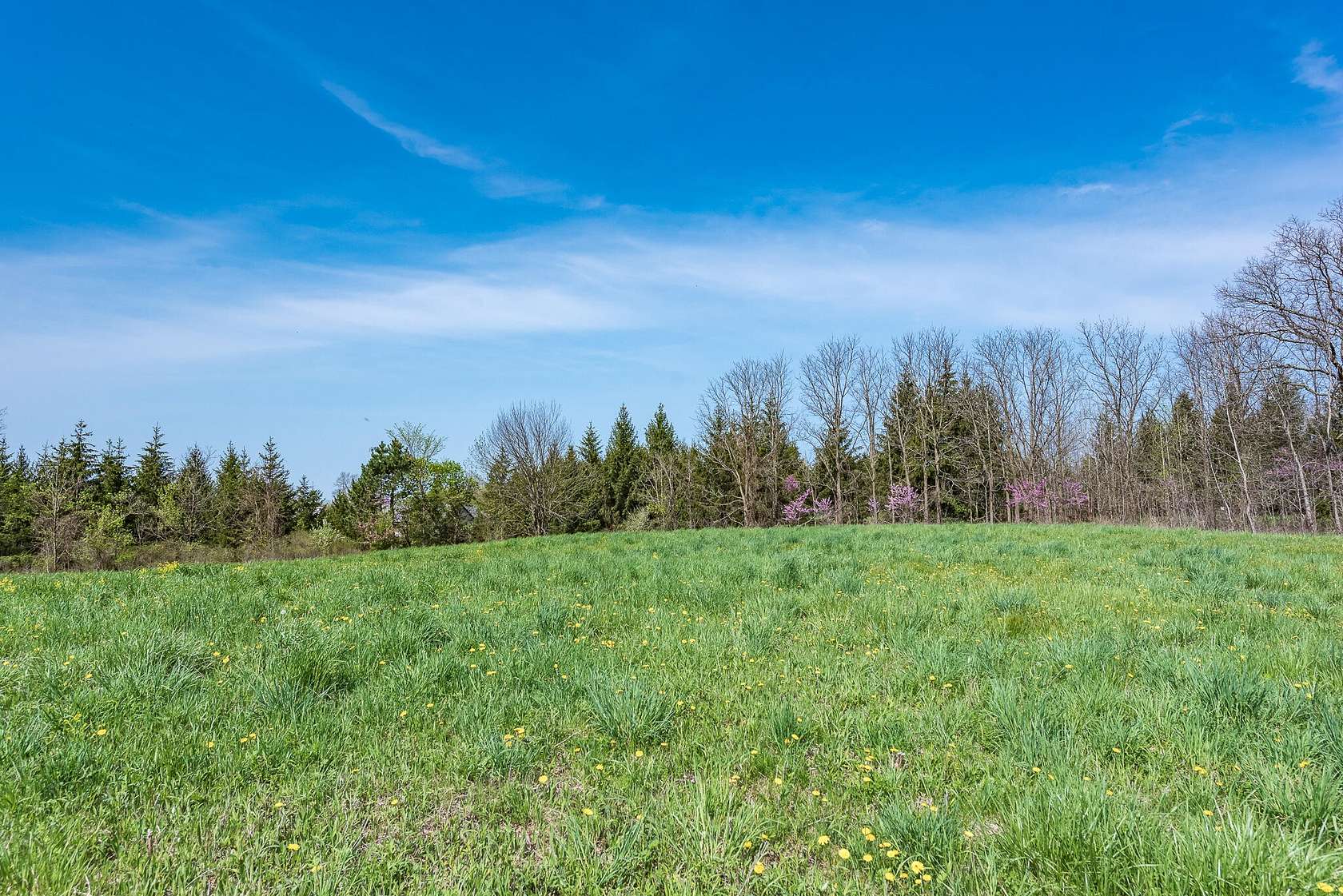 3.67 Acres of Land for Sale in Alto, Michigan