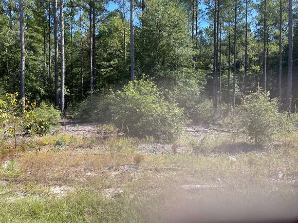 12.38 Acres of Recreational Land & Farm for Lease in Wagener, South Carolina