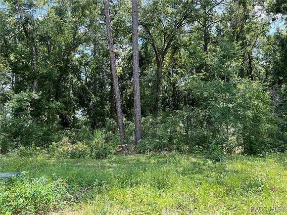 0.37 Acres of Residential Land for Sale in Inverness, Florida