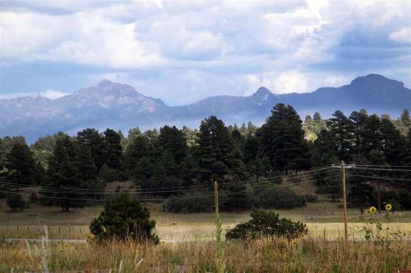 0.25 Acres of Residential Land for Sale in Pagosa Springs, Colorado