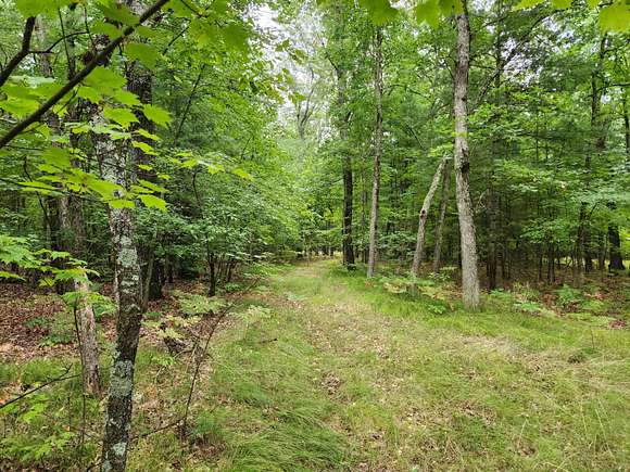 10.21 Acres of Land for Sale in Newaygo, Michigan