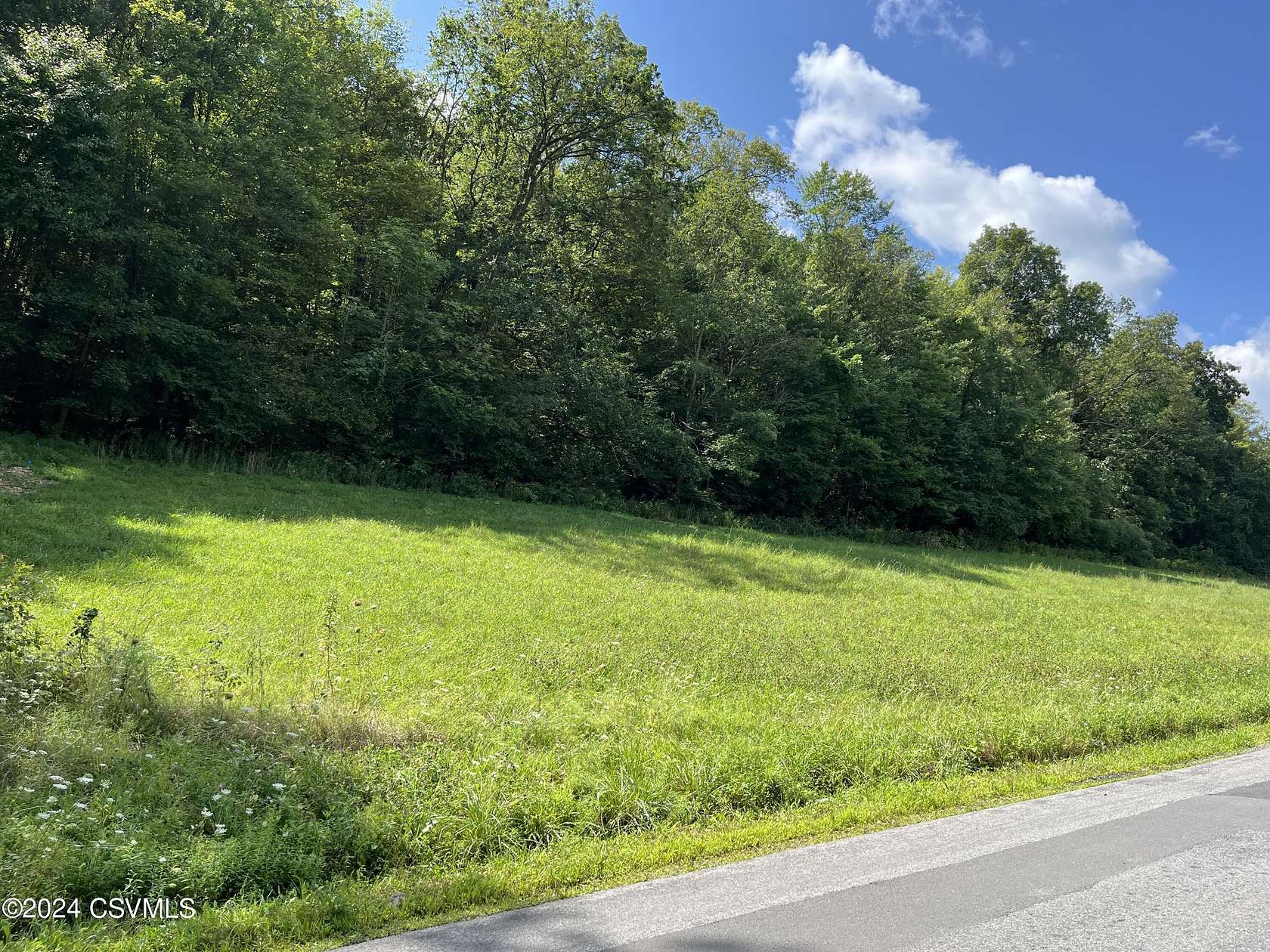 2.49 Acres of Residential Land for Sale in Selinsgrove, Pennsylvania