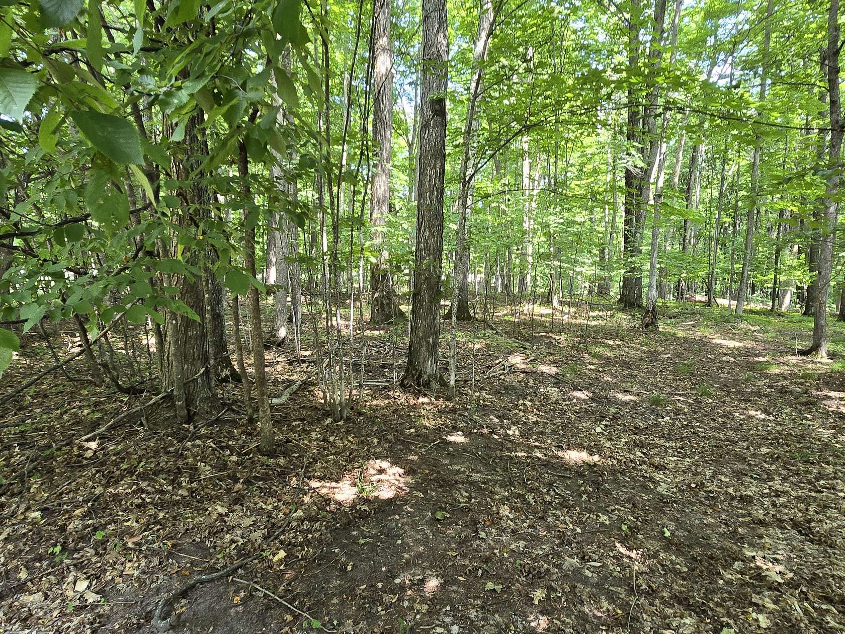 2.38 Acres of Residential Land for Sale in Vanderbilt, Michigan