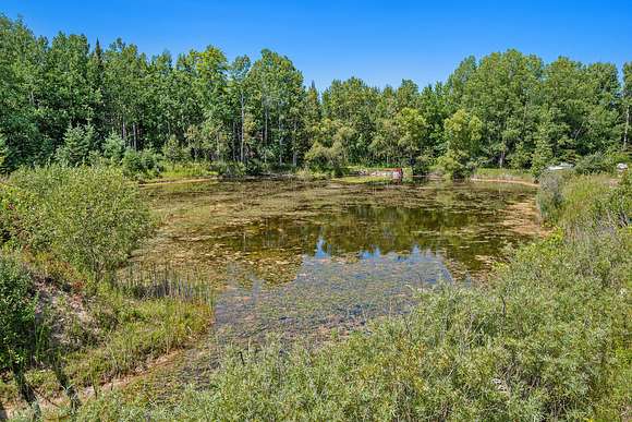 176 Acres of Recreational Land for Sale in Atlanta, Michigan - LandSearch