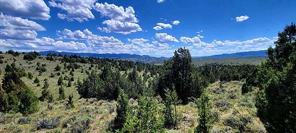 122 Acres of Recreational Land for Sale in Alder, Montana