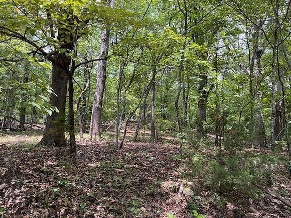 1 Acre of Residential Land for Sale in Winslow, Arkansas