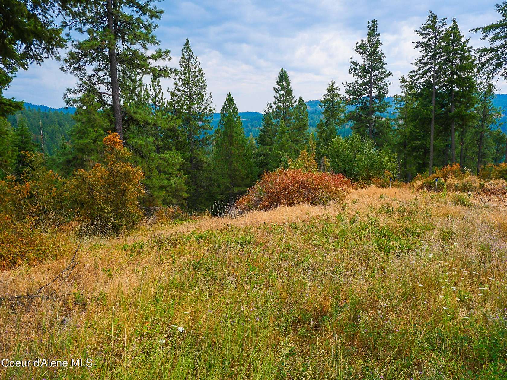 1.26 Acres of Residential Land for Sale in Harrison, Idaho