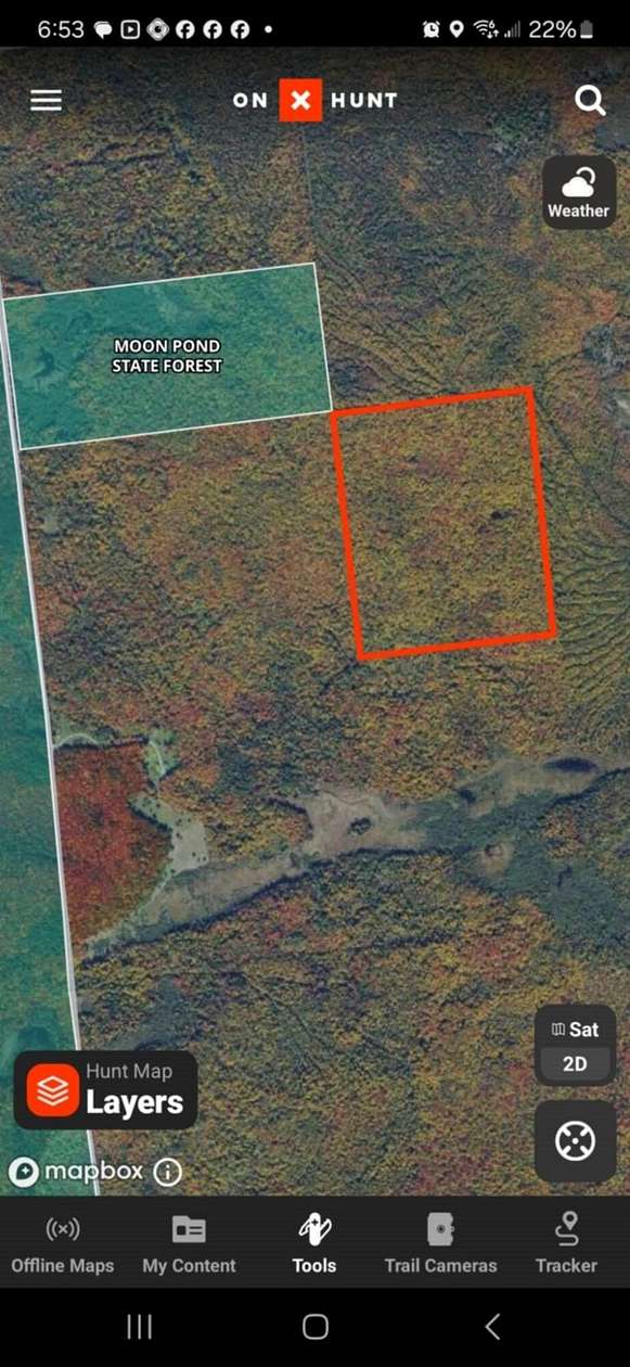 82 Acres of Land for Sale in Ellenburg Center, New York