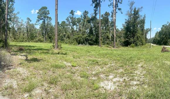 0.5 Acres of Residential Land with Home for Sale in Live Oak, Florida