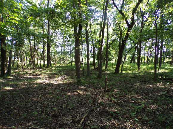 10 Acres of Land for Sale in Greenfield, Missouri