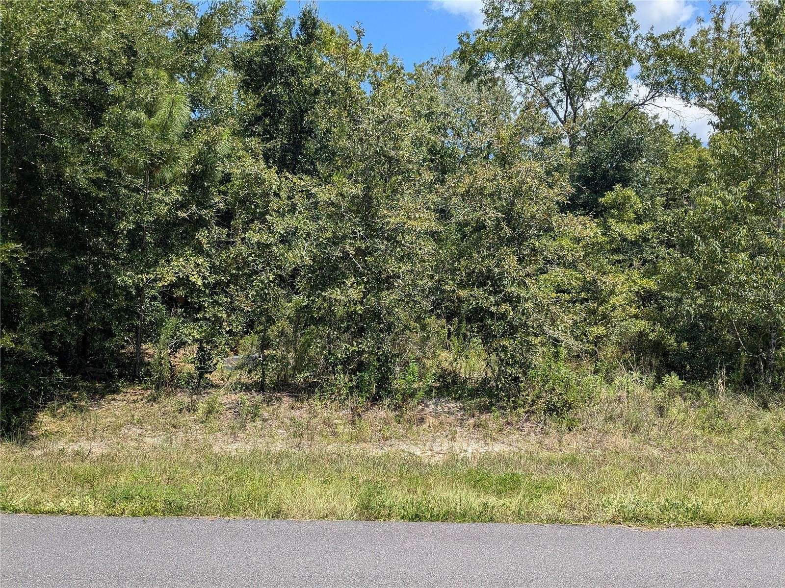 0.33 Acres of Residential Land for Sale in Ocala, Florida