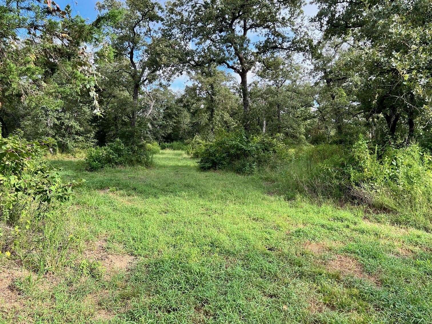 10.023 Acres of Land for Sale in Milano, Texas