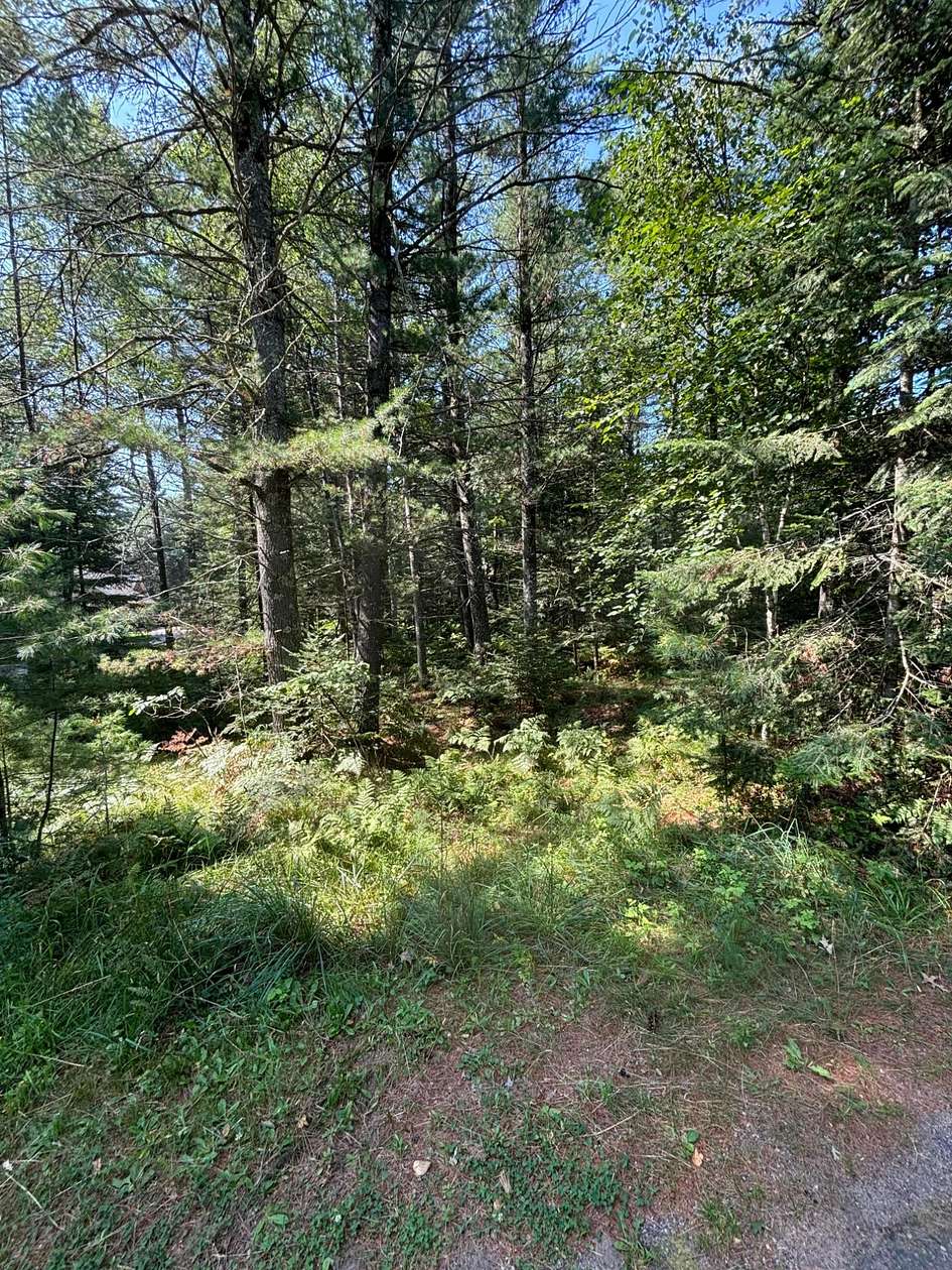 1.39 Acres of Residential Land for Sale in Minocqua, Wisconsin