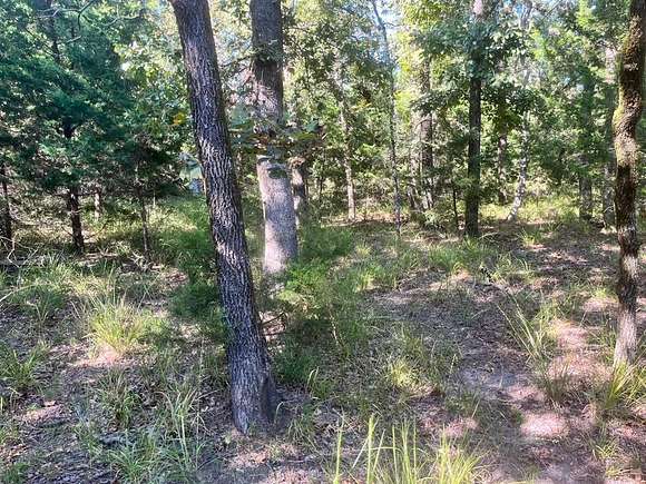 5.006 Acres of Residential Land for Sale in LaRue, Texas