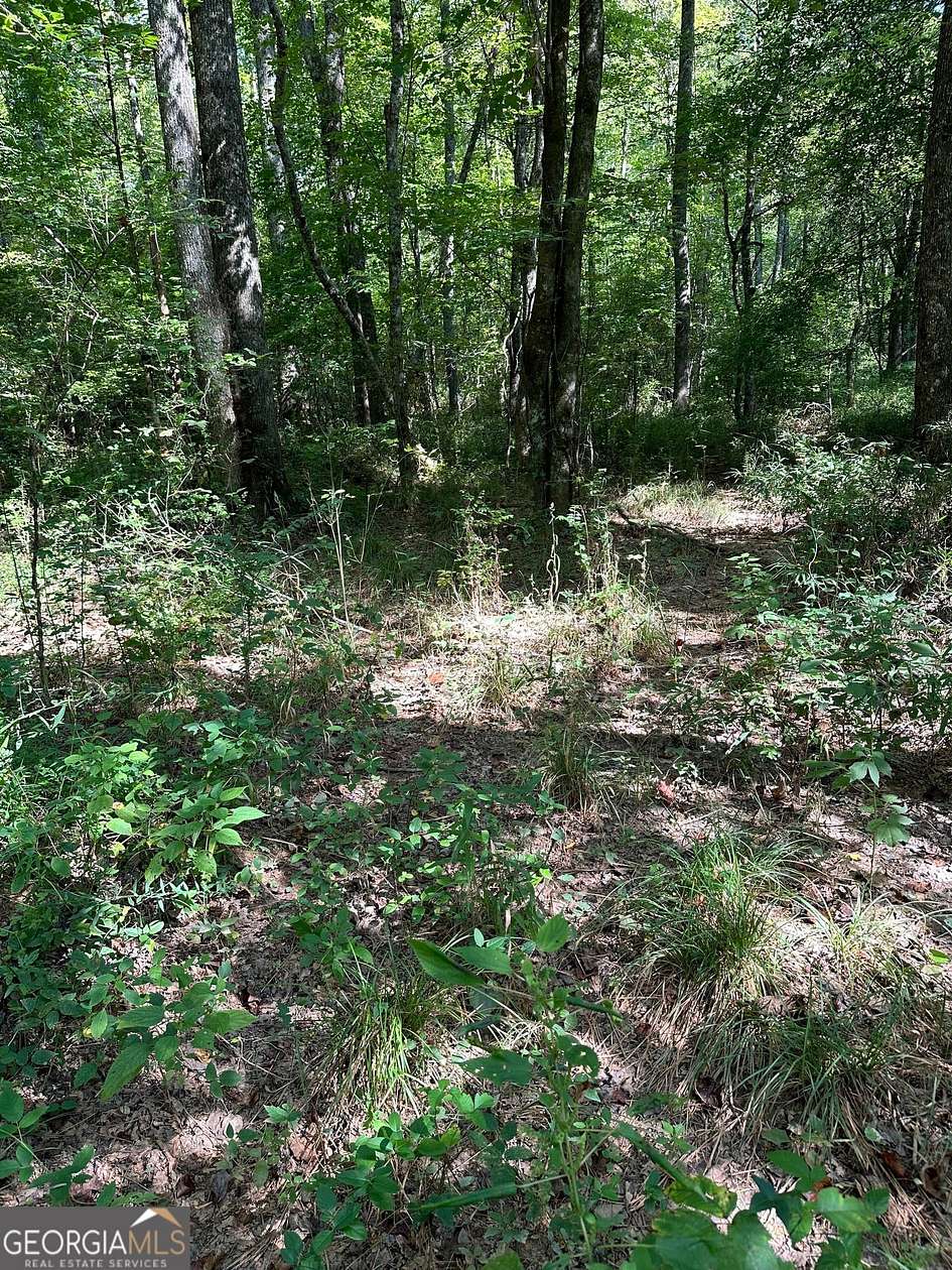 3 Acres of Residential Land for Sale in Talking Rock, Georgia