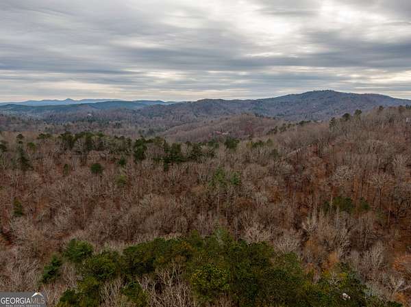 1 Acre of Land for Sale in Ranger, Georgia
