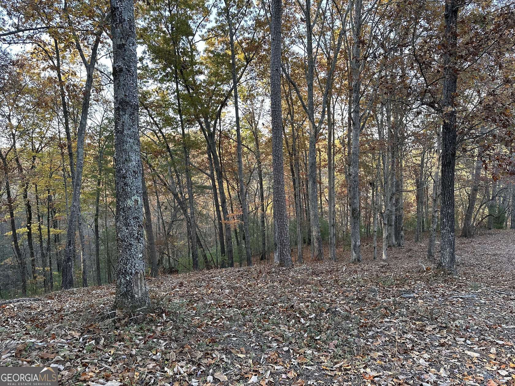 1.05 Acres of Residential Land for Sale in Ranger, Georgia