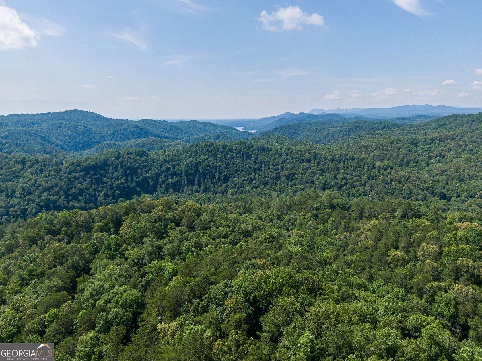 1 Acre of Land for Sale in Talking Rock, Georgia