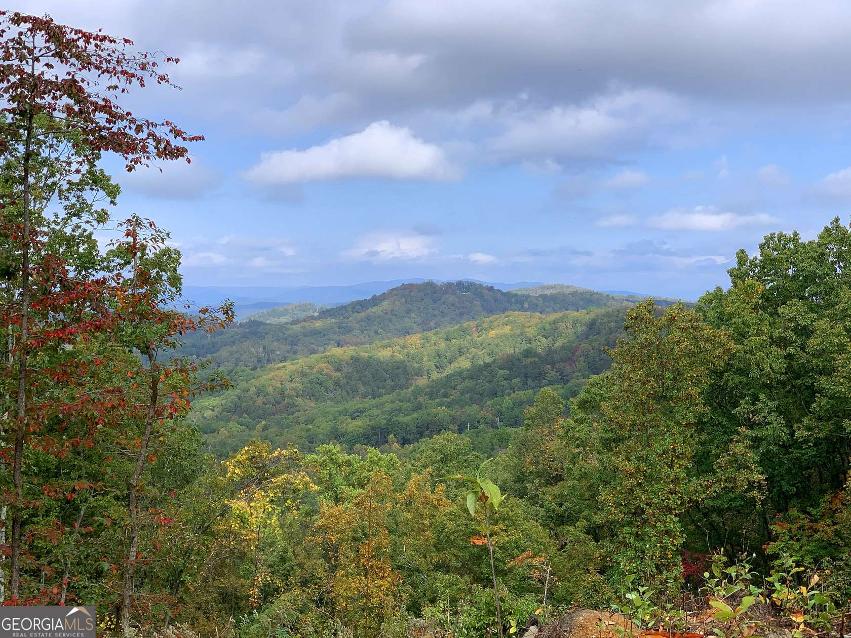 1.53 Acres of Land for Sale in Ranger, Georgia