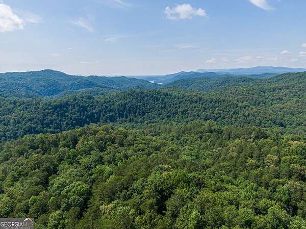 1 Acre of Land for Sale in Ranger, Georgia